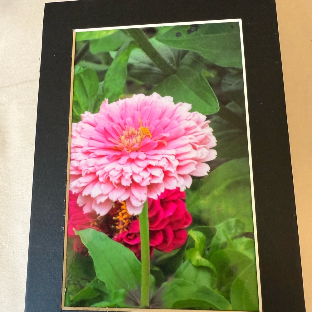 Floral Art Photography Print